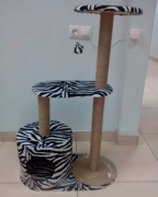 kogtetochka zebra